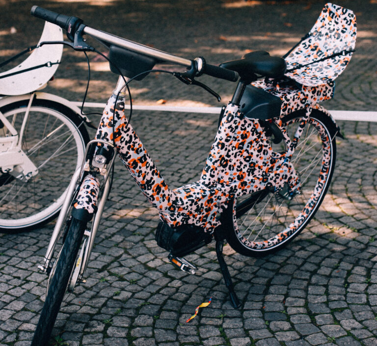 RegioRad Fahrrad mit speziellem Design