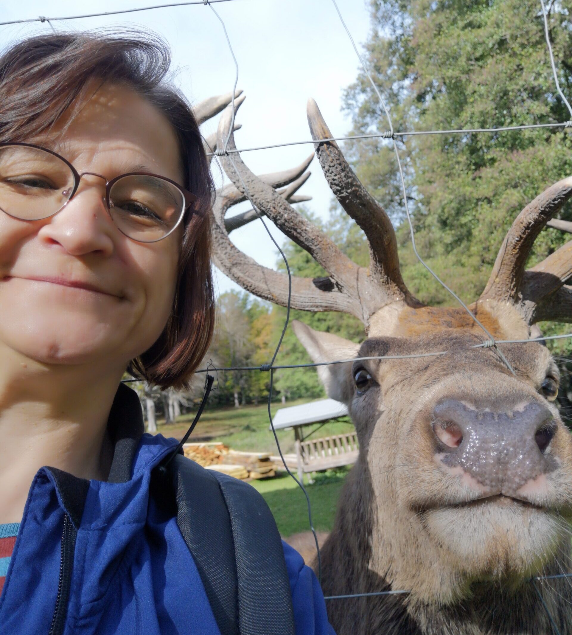 Frau mit Hirsch hinter einem Zaun